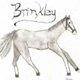 Brinkley by Kristen
